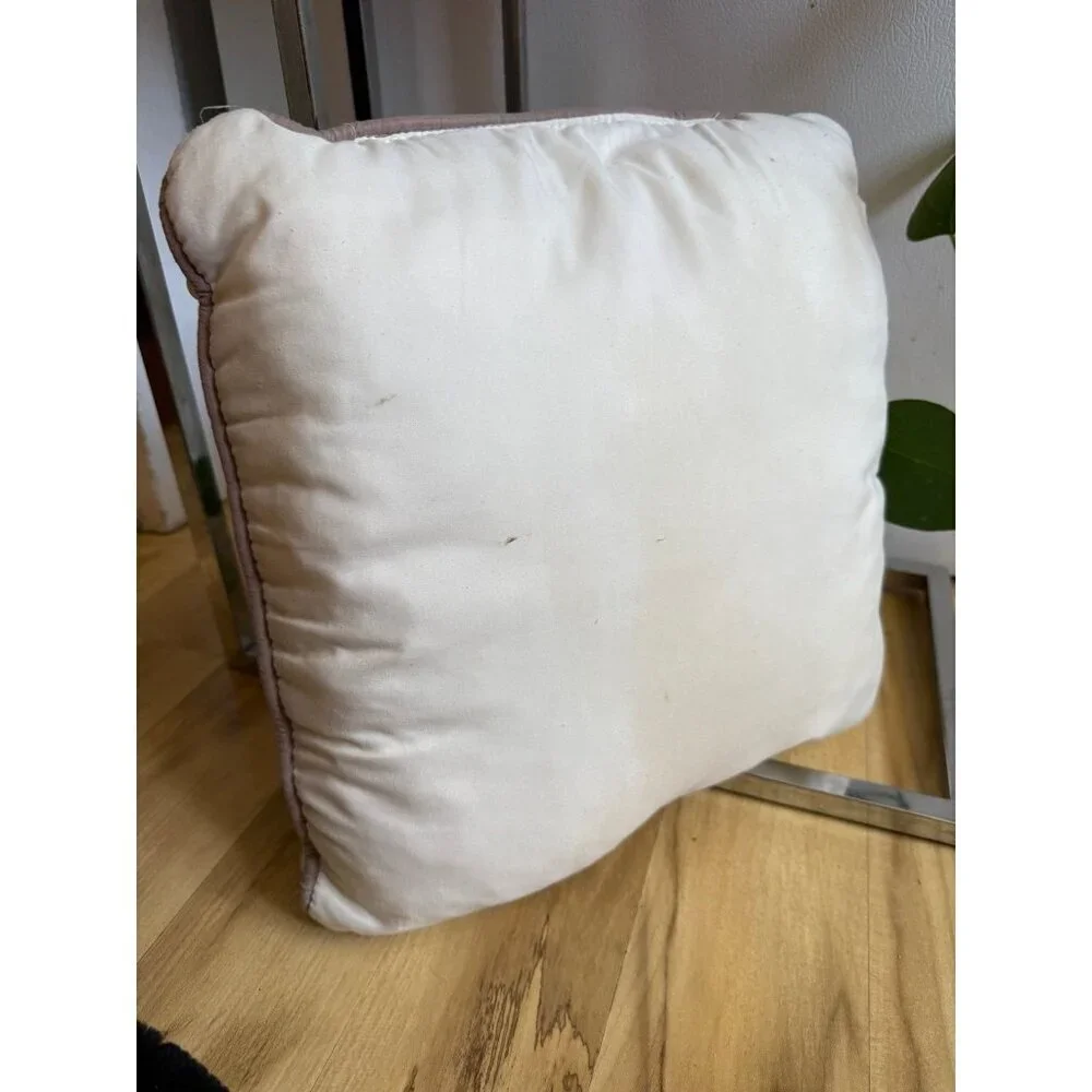 13 X 12.5 throw pillow